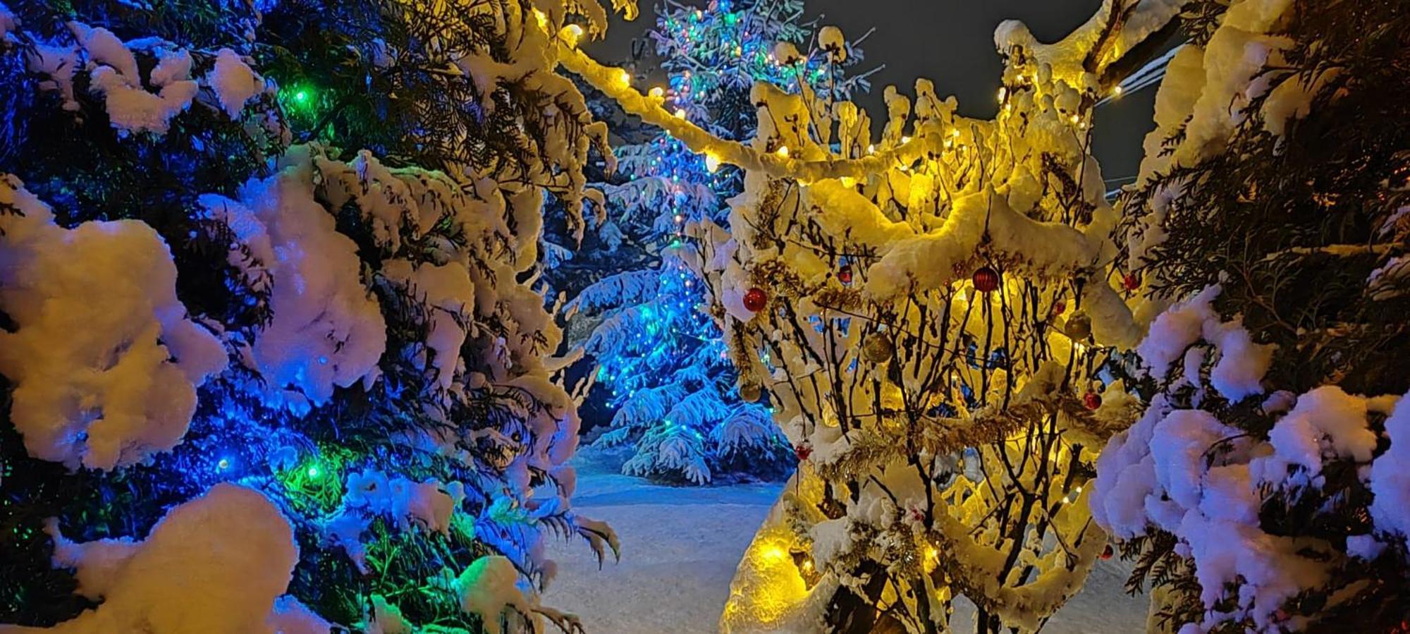 Eden Garden Sovata 빌라 외부 사진