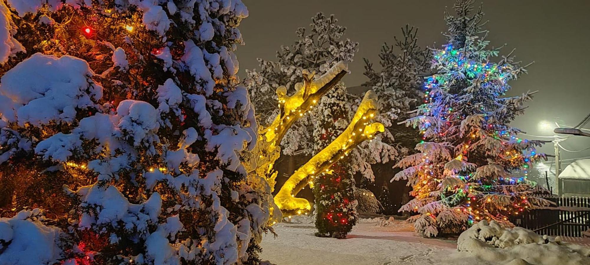 Eden Garden Sovata 빌라 외부 사진