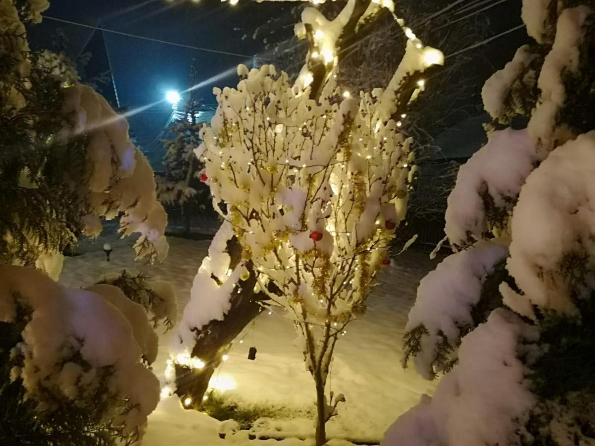 Eden Garden Sovata 빌라 외부 사진
